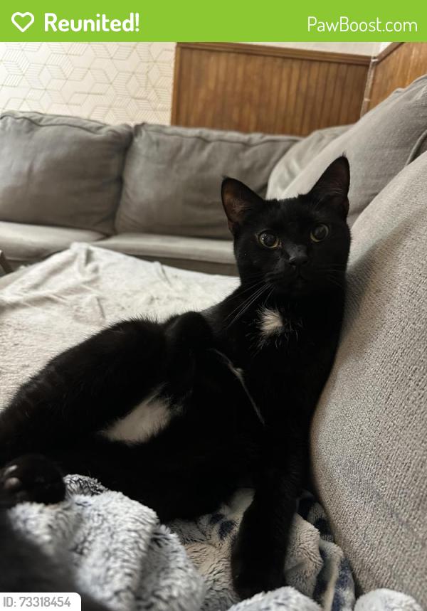 Reunited Male Cat last seen Trouble Creek and Thys, New Port Richey, FL 34653