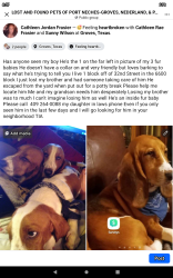 Lost Male Dog last seen Highway 73 and Twin City Highway, Groves, TX 77619