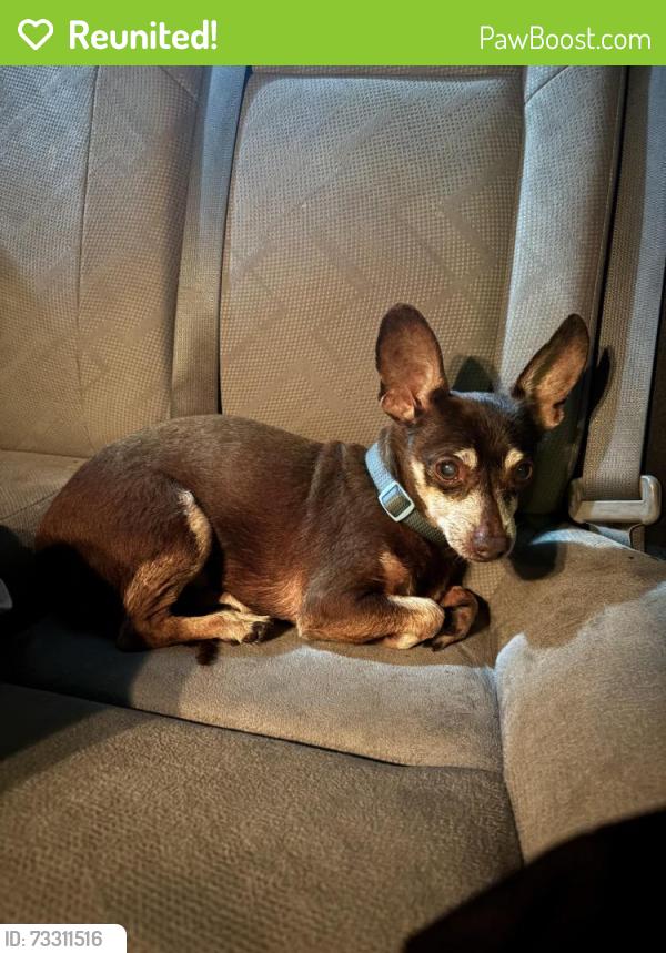 Reunited Male Dog last seen 1800-1850 33rd St, Edgewood, FL 32839