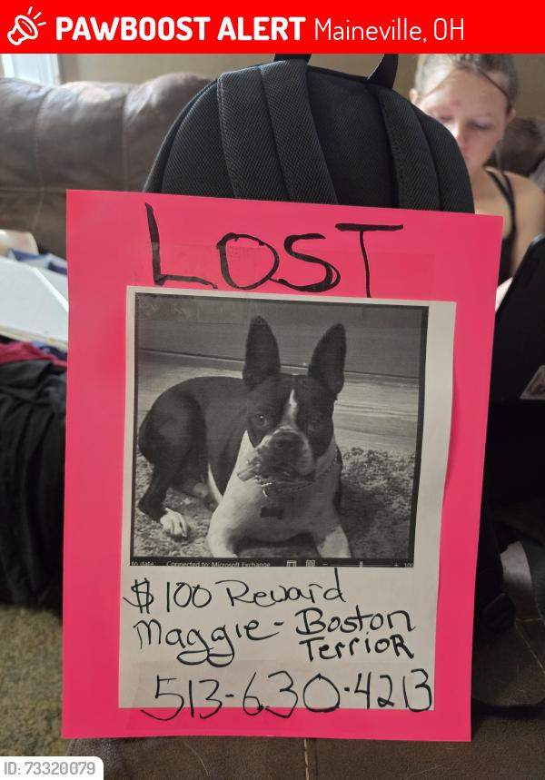 Lost Female Dog last seen Maineville post office, Maineville, OH 45039
