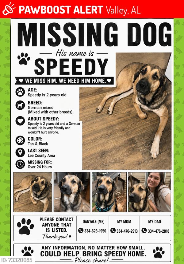 Lost Male Dog last seen County rd 377, Valley, AL 36854