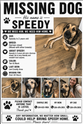 Lost Male Dog last seen County rd 377, Valley, AL 36854