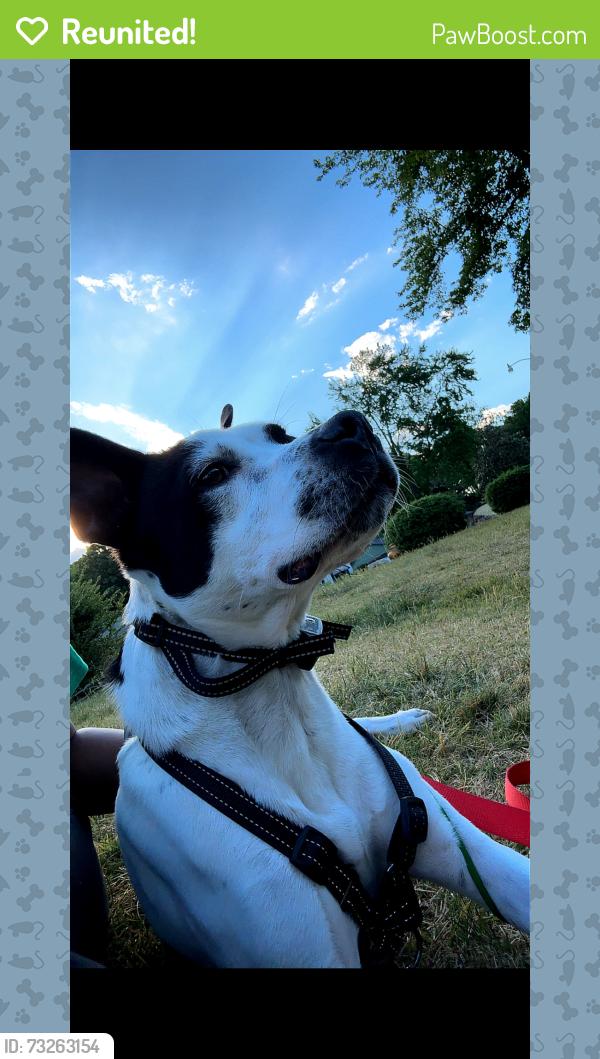 Reunited Male Dog last seen Near Knightdale Station Park, Knightdale, NC 27545