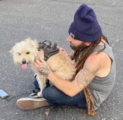 Reunited Male Dog last seen Hewes and Walnut, City of Orange, Orange, CA 92869