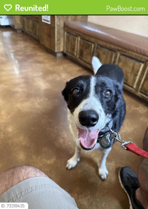 Reunited Male Dog last seen Purgatory and 306, New Braunfels, TX 78132