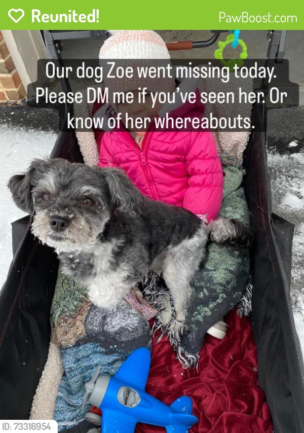 Reunited Female Dog last seen Country Lane,Carriage Drive, Intercourse, PA 17529