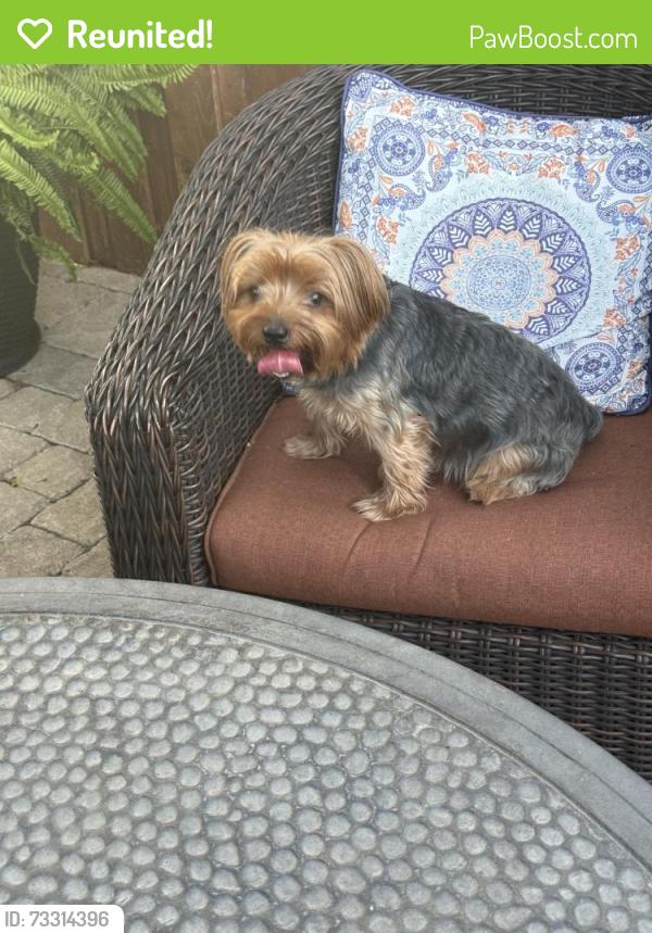 Reunited Male Dog last seen Highland & Kendal, Mansfield, TX 76063