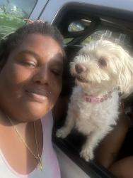 Reunited Female Dog last seen At the gas station on 47th and parallel, Kansas City, KS 66102