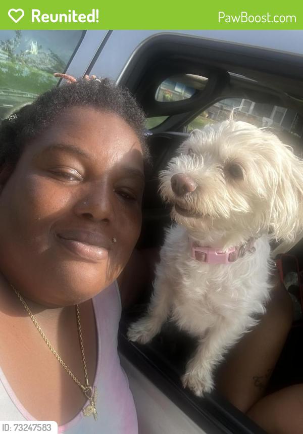 Reunited Female Dog last seen At the gas station on 47th and parallel, Kansas City, KS 66102