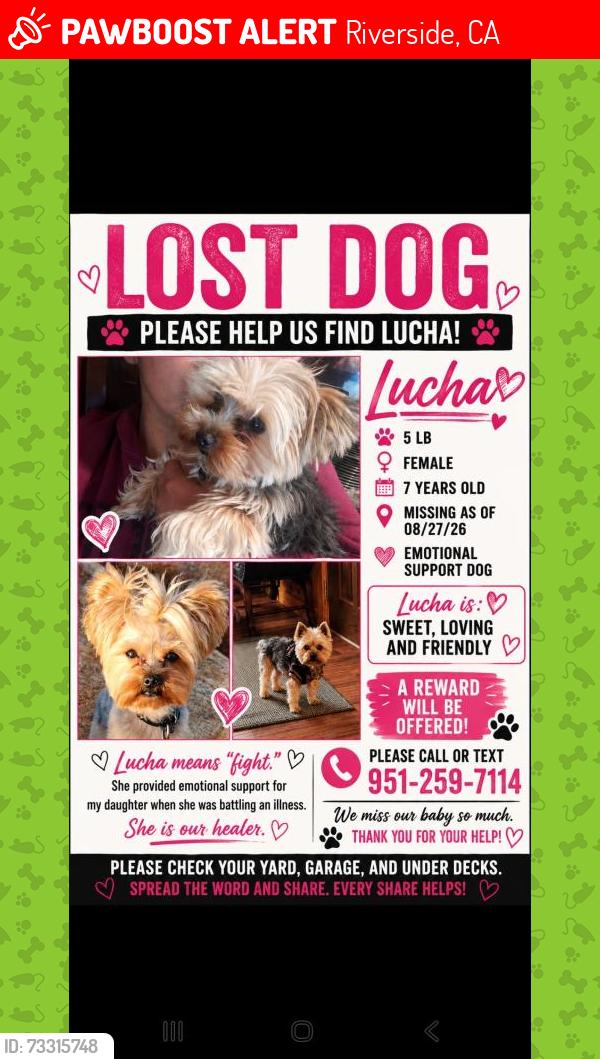Lost Female Dog last seen Rubidioux, Riverside, CA 92504