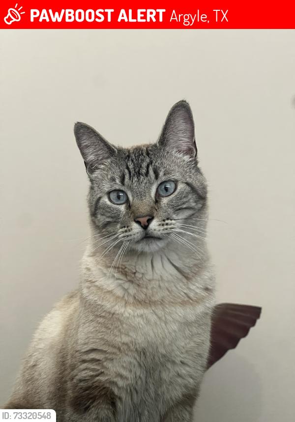 Lost Male Cat last seen Old Alton Road, Copper Canyon Road, Argyle, TX 76226