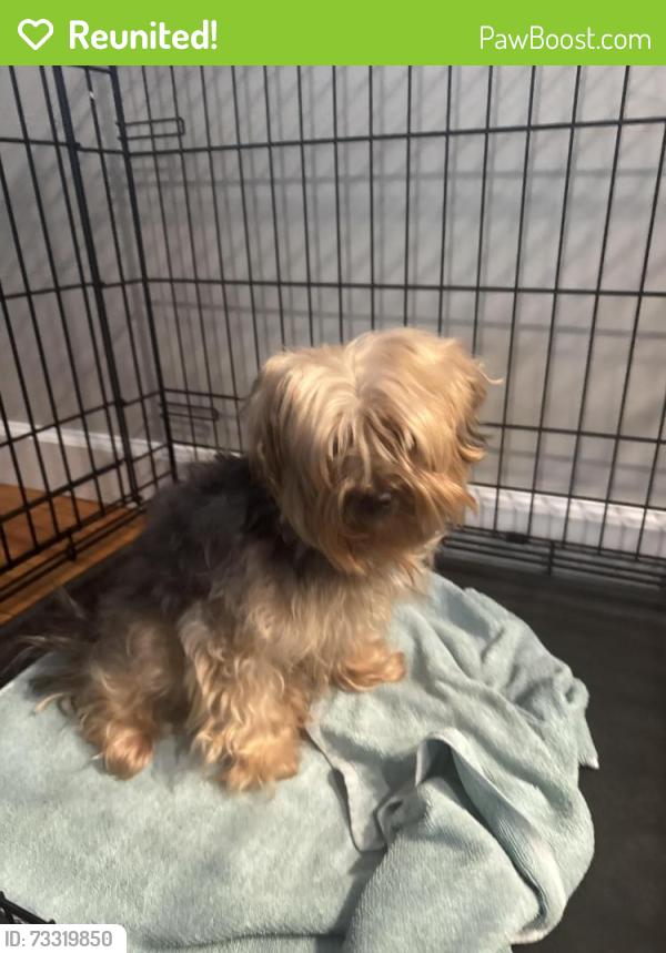 Reunited Female Dog last seen Winnipauk Area, Norwalk, CT 06851