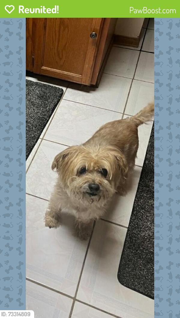 Reunited Female Dog last seen 70th Pl and Simms St, Arvada, CO 80004