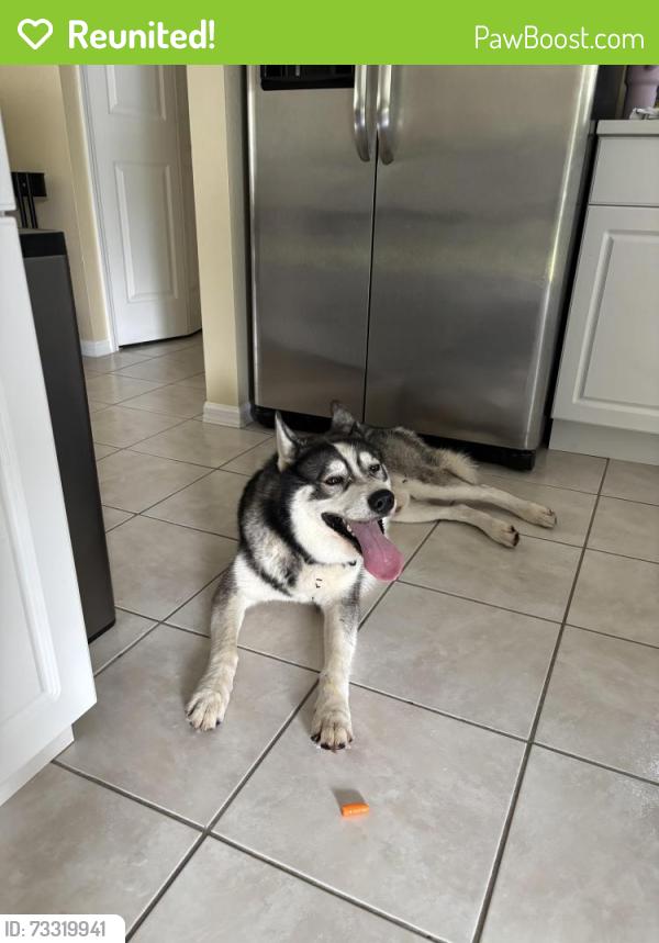 Reunited Male Dog last seen 6th St and Washington Ave, Lehigh Acres, FL 33936
