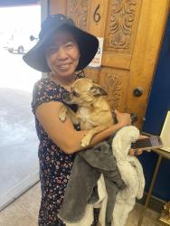 Reunited Female Dog last seen 39th and Bethany Home Rd, Phoenix, AZ 85019