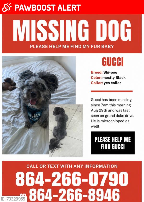 Lost Male Dog last seen Damson plum court, Spartanburg County, SC 29301