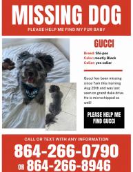 Lost Male Dog last seen Damson plum court, Spartanburg County, SC 29301