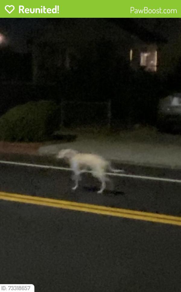 Reunited Unknown Dog last seen Forest Hill elementary, San Jose, CA 95130