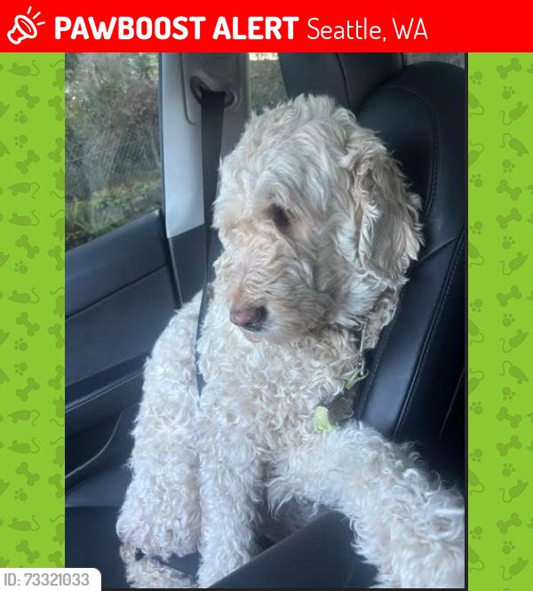 Lost Female Dog last seen Woodbine Way & 14th Ave NW, Seattle, WA 98177
