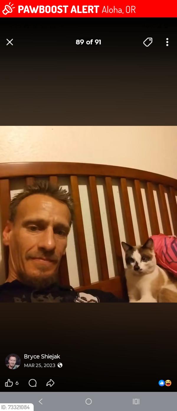 Lost Male Cat last seen Pio pio park, Aloha, OR 97006