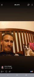 Lost Male Cat last seen Pio pio park, Aloha, OR 97006