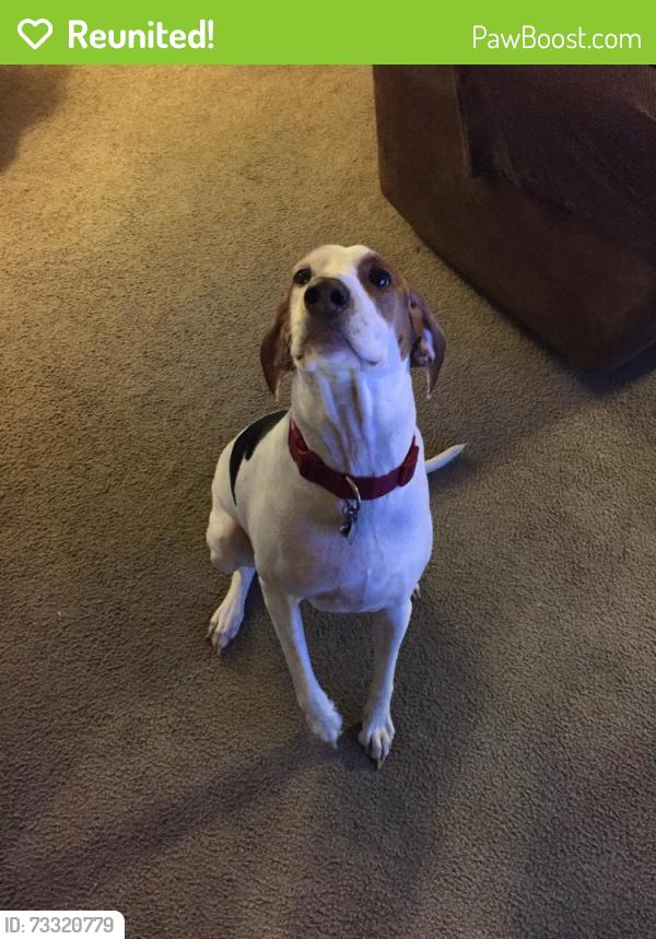 Reunited Female Dog last seen Temecula Circle, Titusville, FL 32927