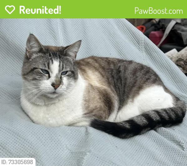Reunited Male Cat last seen 3800s 6000w, West Valley City, West Valley City, UT 84128