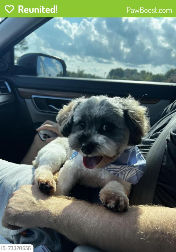 Reunited Female Dog last seen S pierce St, Eden, NC 27288