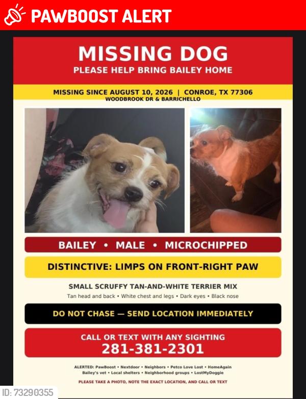 Lost Male Dog last seen Bellfounder, Montgomery County, TX 77306