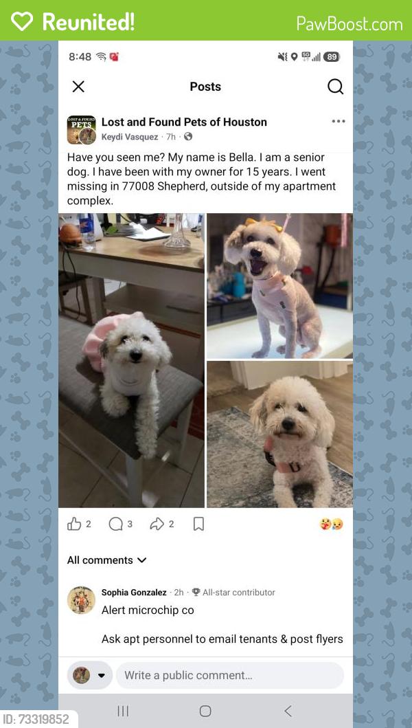 Reunited Female Dog last seen DUNHAM, Houston, TX 77008