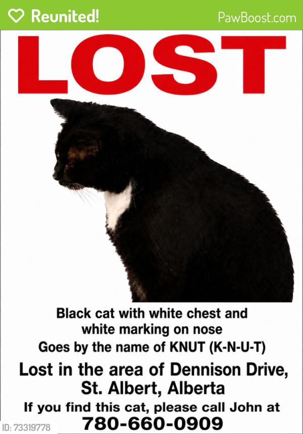 Reunited Male Cat last seen Near Dennison Dr, St. Albert, AB T8N 6G7