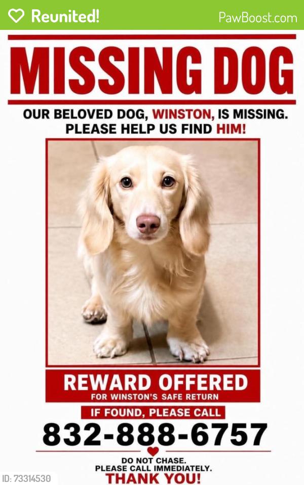 Reunited Male Dog last seen Fairmont, Pasadena, TX 77506