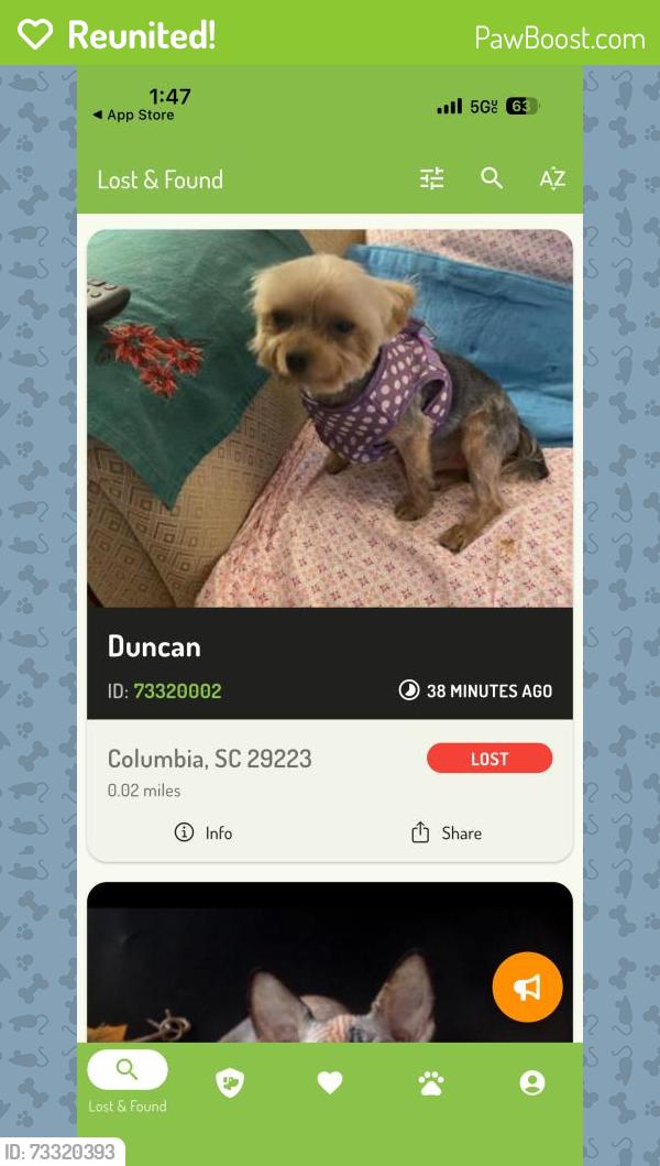 Reunited Male Dog last seen Windsor Gate Dr, Fort Mill, SC 29708, USA, Fort Mill, SC 29708