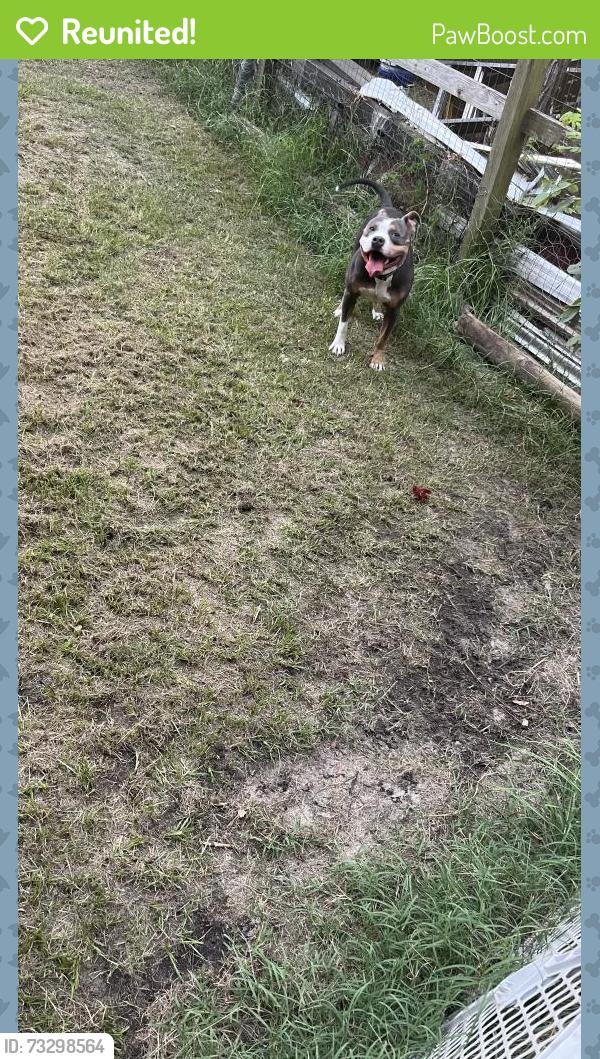 Reunited Male Dog last seen Crystal Springs and John Smith Rd, Fayetteville, NC 28306