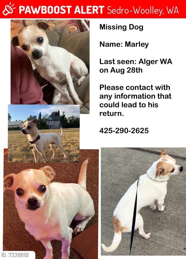 Lost Male Dog last seen Near Alger Cain lk rd, Sedro-Woolley, WA 98284