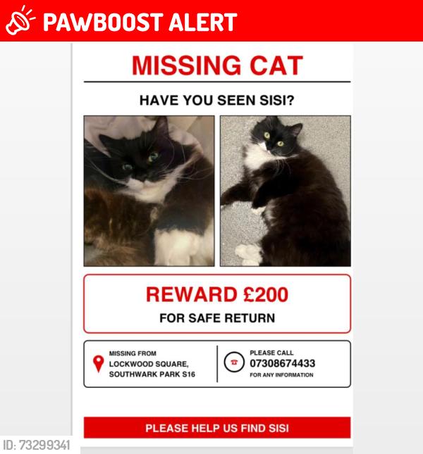Lost Female Cat last seen Southwark park road , Bermondsey, Greater London, England SE16 2HT
