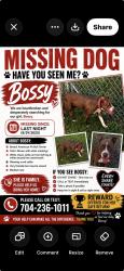 Lost Female Dog last seen Justice Ave /Druidhills area, Charlotte, NC 28206