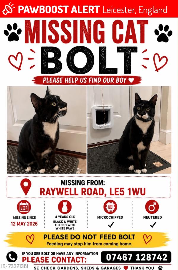 Lost Male Cat last seen Laverton Road Barlow Rd, Leicester, England 
