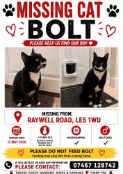 Lost Male Cat last seen Laverton Road Barlow Rd, Leicester, England 