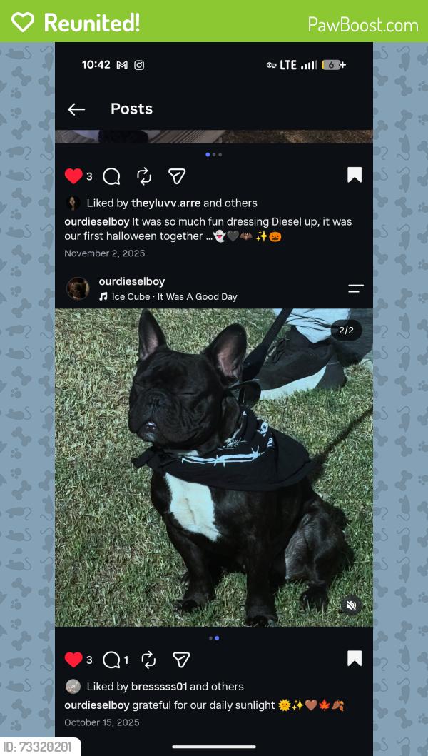 Reunited Male Dog last seen Calhon, Indio, CA 92201