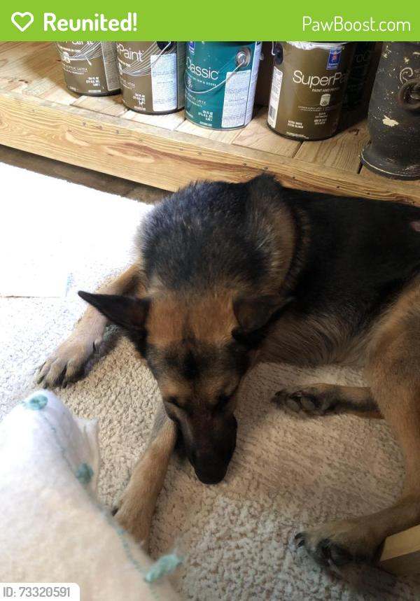 Reunited Male Dog last seen Shelby Farms Dog Park, Memphis, TN 38018