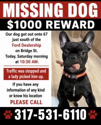 Reunited Male Dog last seen Near N and Bridge St, Mooresville, IN 46158