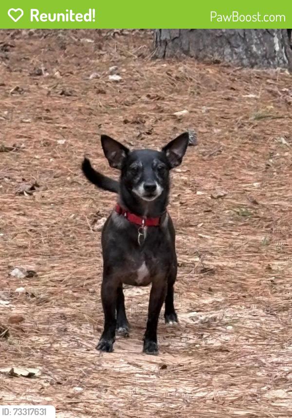 Reunited Male Dog last seen Angler Rd & Navigation Circle, Montgomery County, TX 77316