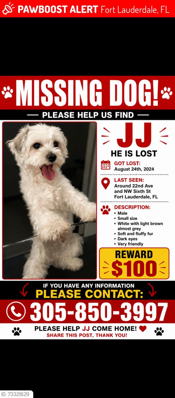 Lost Male Dog last seen Ivory's, Fort Lauderdale, FL 33311