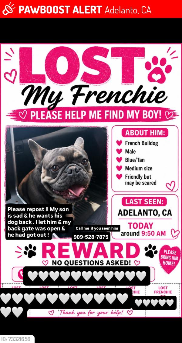 Lost Male Dog last seen Everest st Adelanto ca, Adelanto, CA 92301