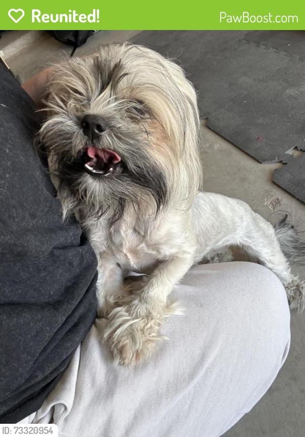 Reunited Female Dog last seen Abston St., Fort Bliss, TX 79906