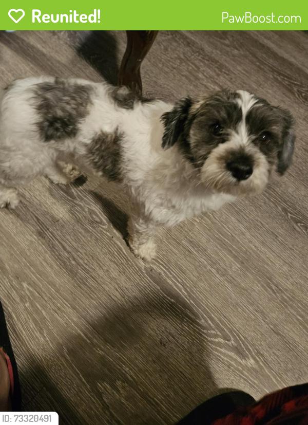 Reunited Male Dog last seen Schwan's company, Pasadena, TX 77506