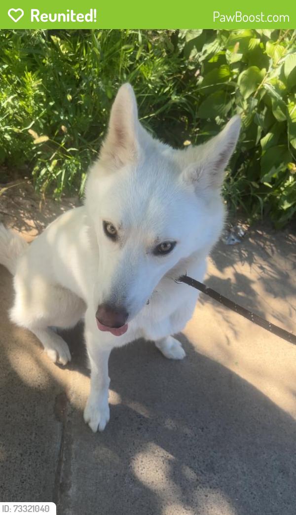 Reunited Male Dog last seen Near, Philadelphia, PA 19111