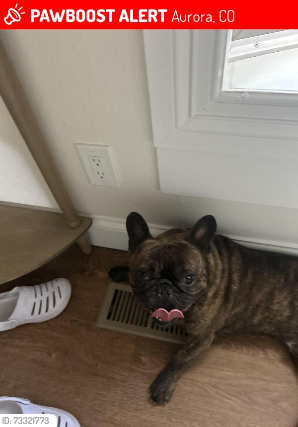 Lost Male Dog last seen Near E Arkansas Ave, Aurora, CO 80017