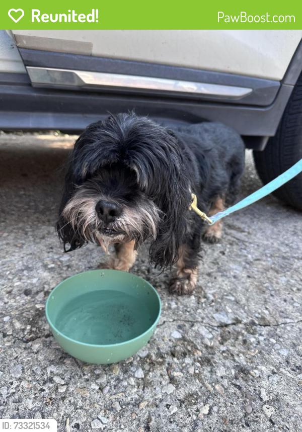 Reunited Male Dog last seen Wilkshire, Houston, TX 77069